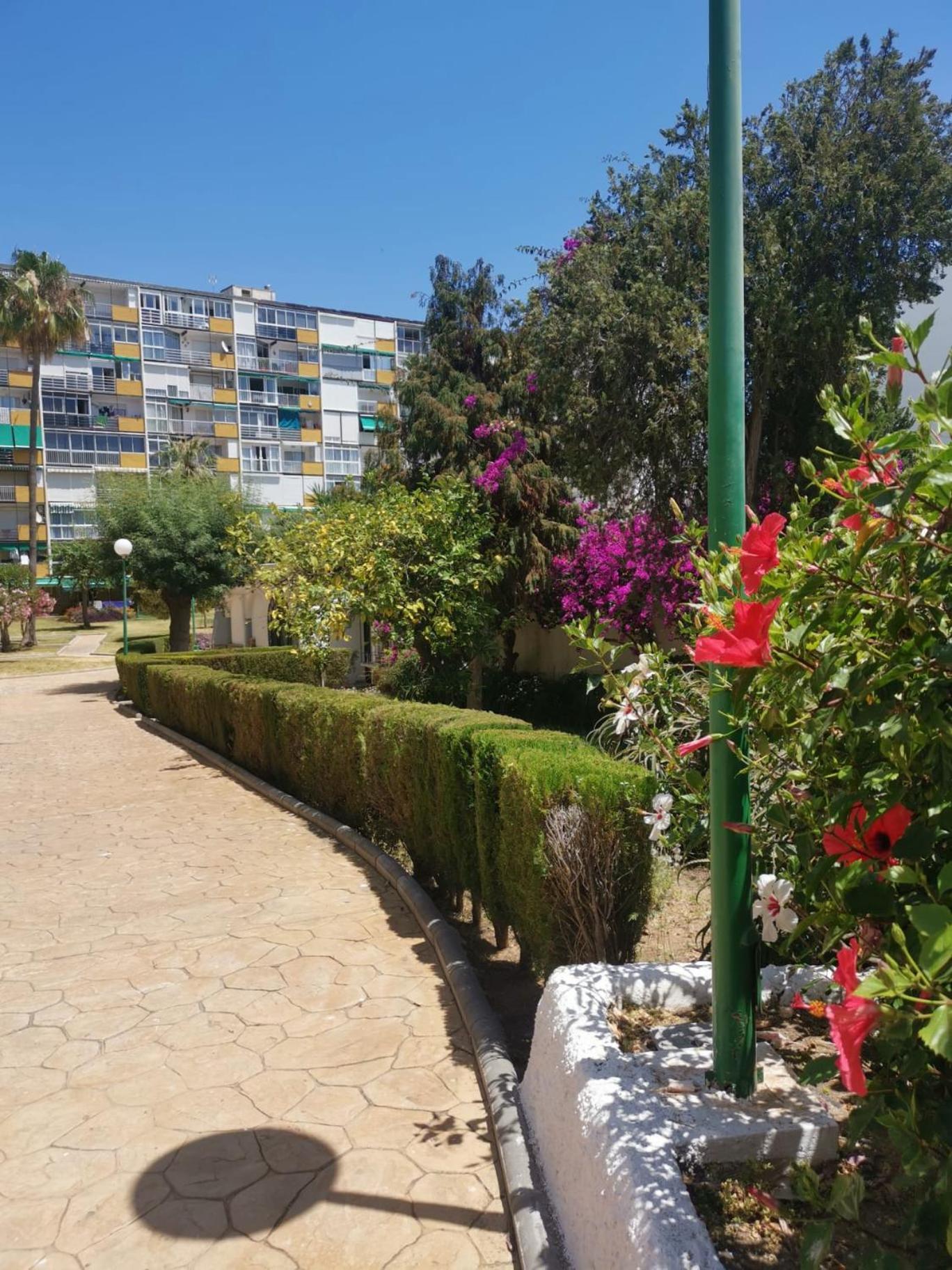 Blue Ocean Apartments بينالماذينا المظهر الخارجي الصورة